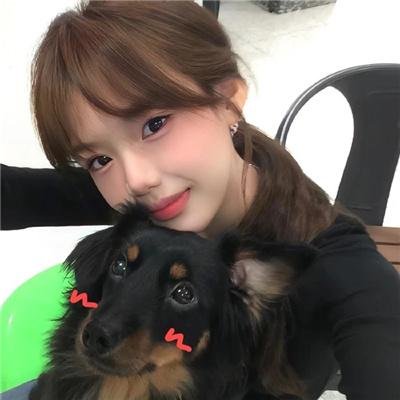 暗金烂狗6